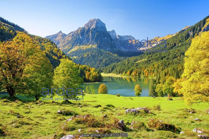 : Obersee, Brannelistock, 2133m, Glarus, Switzerland : Obersee, Brannelistock, 2133m, Glarus, Switzerland