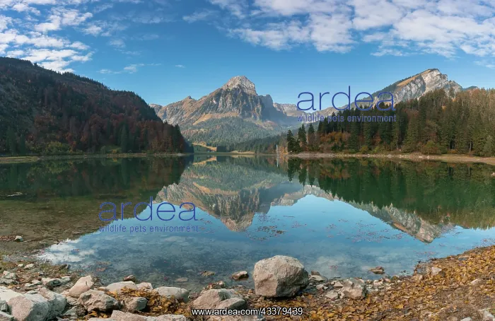 : The Obersee and Brunnelistock mountain in the Swiss : The Obersee and Brunnelistock mountain in the Swiss