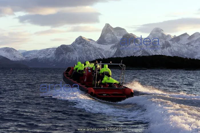 : Observation boat looking for Killer Whales (Orcinus orca) : Observation boat looking for Killer Whales (Orcinus orca)