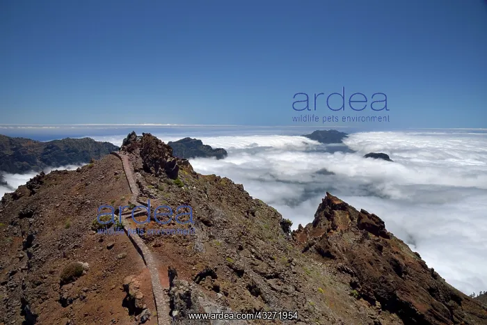 : Observation deck on the Roque de los Muchachos : Observation deck on the Roque de los Muchachos