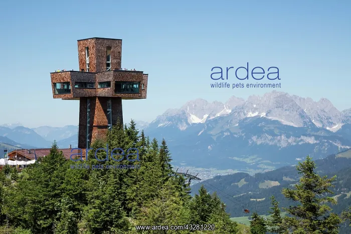 : Observation tower Jakobskreuz on the summit of the : Observation tower Jakobskreuz on the summit of the