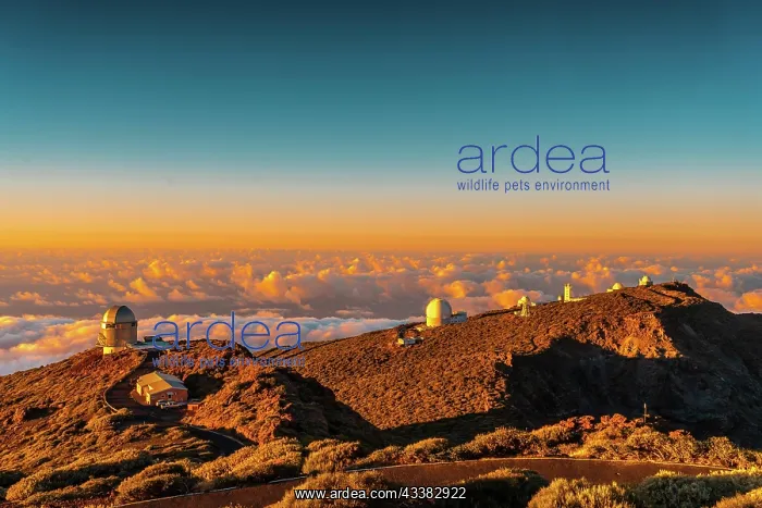 : Observatories of Roque de los Muchachos in the C : Observatories of Roque de los Muchachos in the C