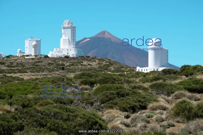 : Observatorio del Teide, Teide Observatory, Observatory : Observatorio del Teide, Teide Observatory, Observatory