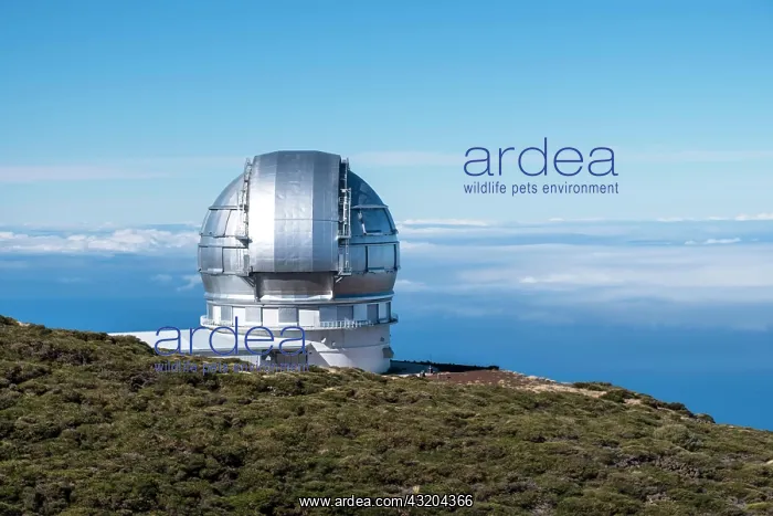 : Observatory, Observatory on the Roque de los Muchachos : Observatory, Observatory on the Roque de los Muchachos