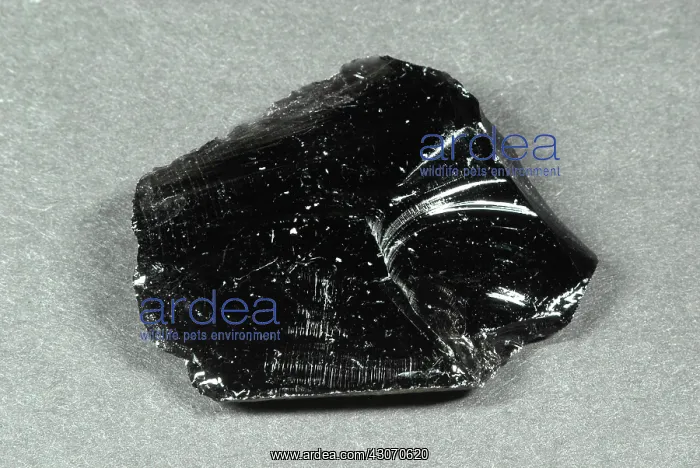 : Obsidian. Hand sample of Obsidian, an extrusive igneous rock with a glassy : Obsidian. Hand sample of Obsidian, an extrusive igneous rock with a glassy