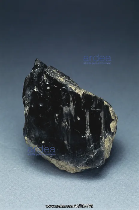 : Obsidian, an igneous rock from Mono County, California. Dimensions: 4 x 5 x 3 cm : Obsidian, an igneous rock from Mono County, California. Dimensions: 4 x 5 x 3 cm