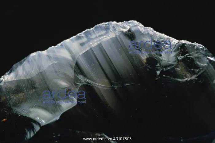 : Obsidian showing flow banding and conchoidal fracture : Obsidian showing flow banding and conchoidal fracture