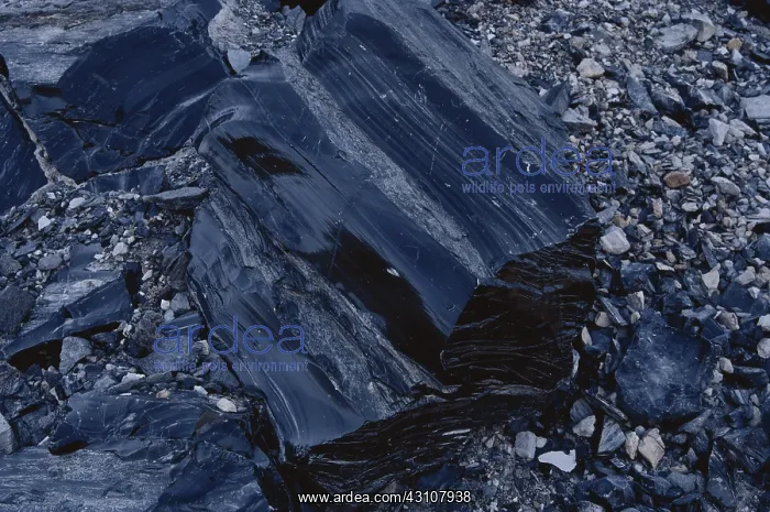 : Obsidian, also called volcanic glass, showing flow banding in Oregon : Obsidian, also called volcanic glass, showing flow banding in Oregon