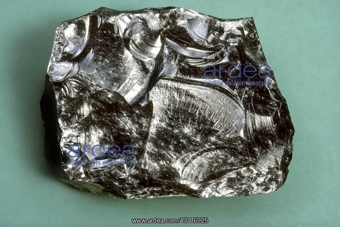 : Obsidian, from Little Lake, California : Obsidian, from Little Lake, California