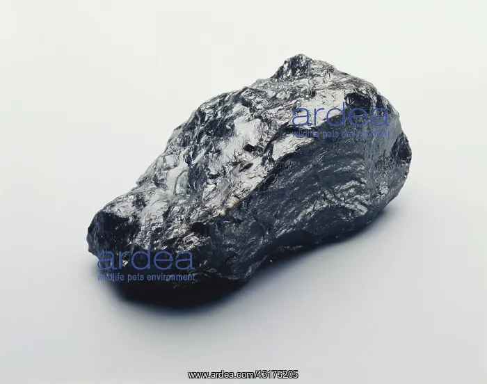 : Obsidian. Sample of obisidian, showing its glassy luster : Obsidian. Sample of obisidian, showing its glassy luster