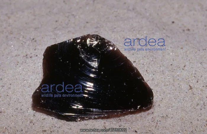 : Obsidian, often called volcanic glass : Obsidian, often called volcanic glass