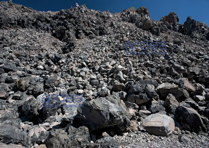 : Obsidian dome, geological site; at 8000 ft. Evidence : Obsidian dome, geological site; at 8000 ft. Evidence