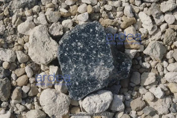 : Obsidian and Pumice : Obsidian and Pumice
