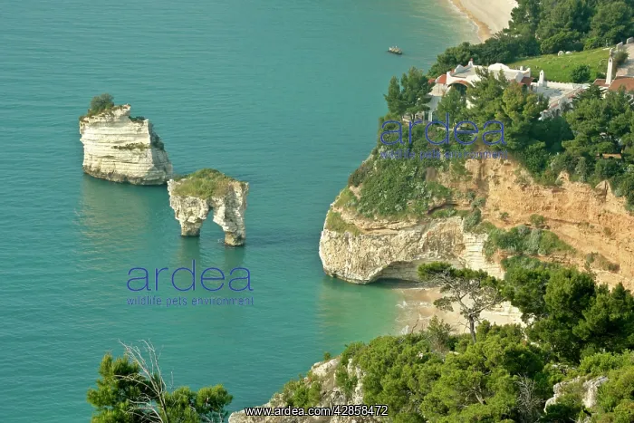  : Ocean view - from view point at Testa Gargano along