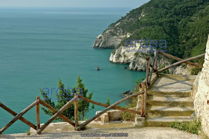 : Ocean view - from view point at Testa Gargano along : Ocean view - from view point at Testa Gargano along