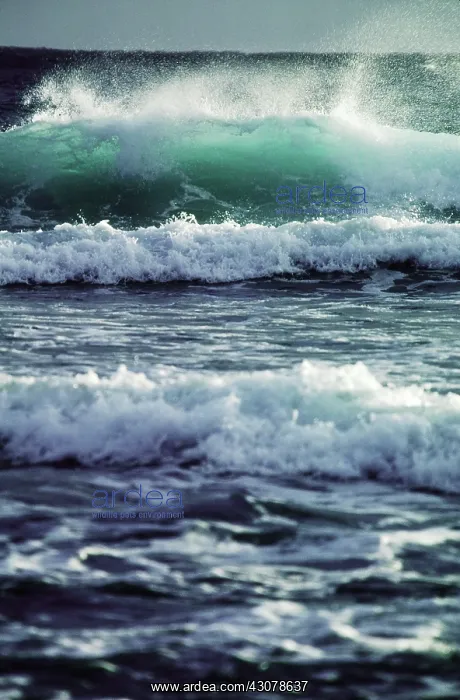 : Ocean Waves, Hawaii : Ocean Waves, Hawaii