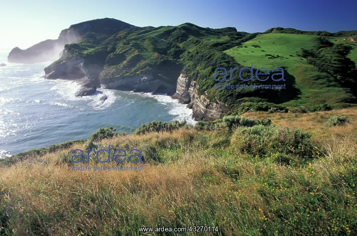 : Oceania, New Zealand. Cape Farewell : Oceania, New Zealand. Cape Farewell