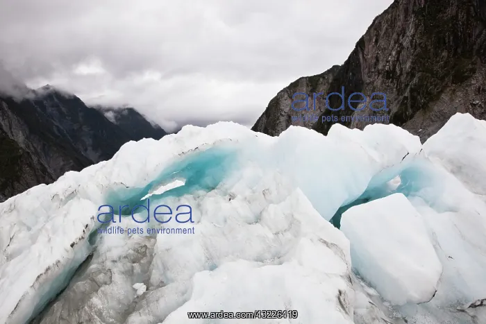 : Oceania, New Zealand, South Island, Westland : Oceania, New Zealand, South Island, Westland