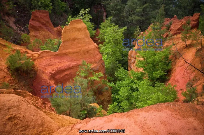 : Ochre nature trail, Le Sentier des Ocres, former : Ochre nature trail, Le Sentier des Ocres, former