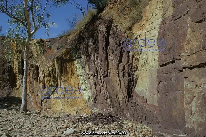 : Ochre Pits - West Macdonnell National Park : Ochre Pits - West Macdonnell National Park