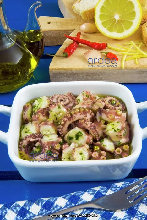 : Octopus salad (made with boiled octopus, olive oil : Octopus salad (made with boiled octopus, olive oil