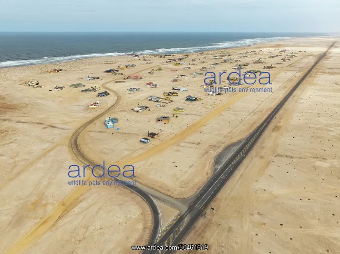 : The odd holiday settlement of Wlotzkasbaken at the Atlantic coast : The odd holiday settlement of Wlotzkasbaken at the Atlantic coast