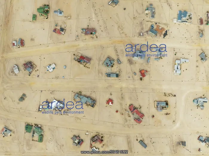  : The odd holiday settlement of Wlotzkasbaken at the Atlantic coast