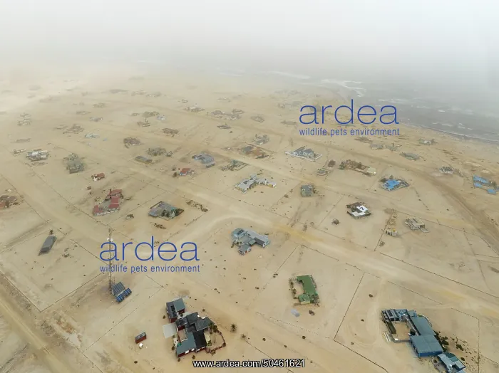 : The odd holiday settlement of Wlotzkasbaken at the Atlantic coast often is shrouded in mist : The odd holiday settlement of Wlotzkasbaken at the Atlantic coast often is shrouded in mist