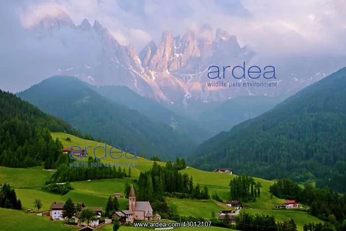 : Odle Group Mountains Santa Maddalena, Dolomites, Alps, Italy : Odle Group Mountains Santa Maddalena, Dolomites, Alps, Italy