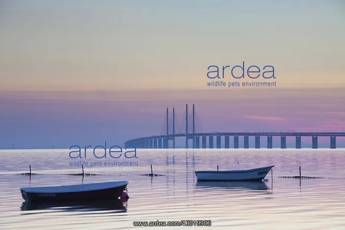 : Oeresund railway and dual carriageway bridge-tunnel : Oeresund railway and dual carriageway bridge-tunnel