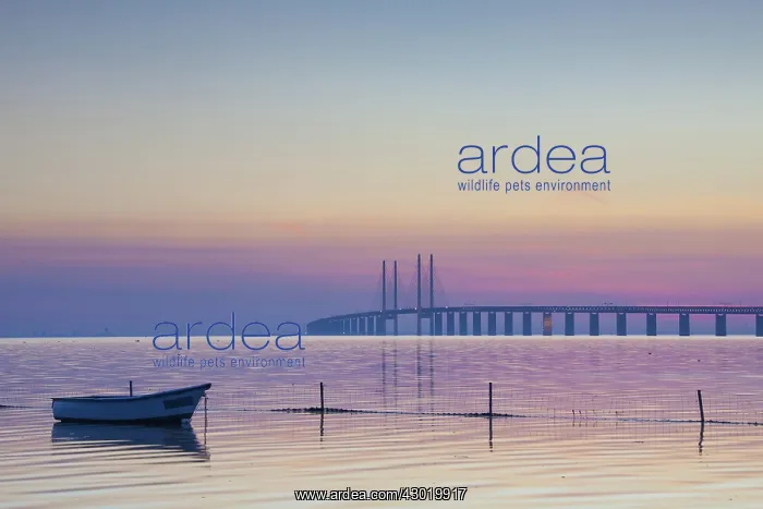 : Oeresund railway and dual carriageway bridge-tunnel : Oeresund railway and dual carriageway bridge-tunnel
