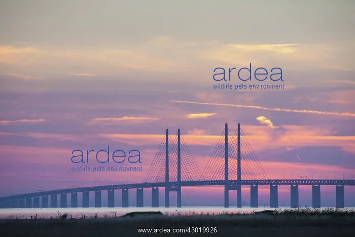 : Oeresund railway and dual carriageway bridge-tunnel : Oeresund railway and dual carriageway bridge-tunnel
