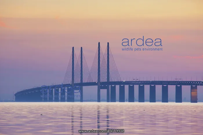 : Oeresund railway and dual carriageway bridge-tunnel : Oeresund railway and dual carriageway bridge-tunnel