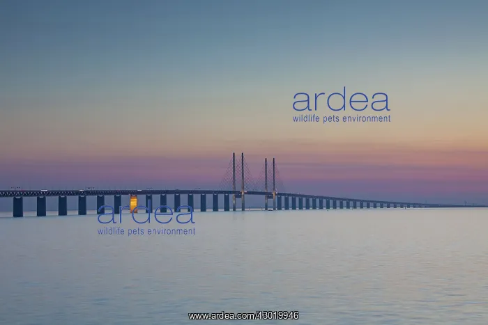 : Oeresund railway and dual carriageway bridge-tunnel : Oeresund railway and dual carriageway bridge-tunnel