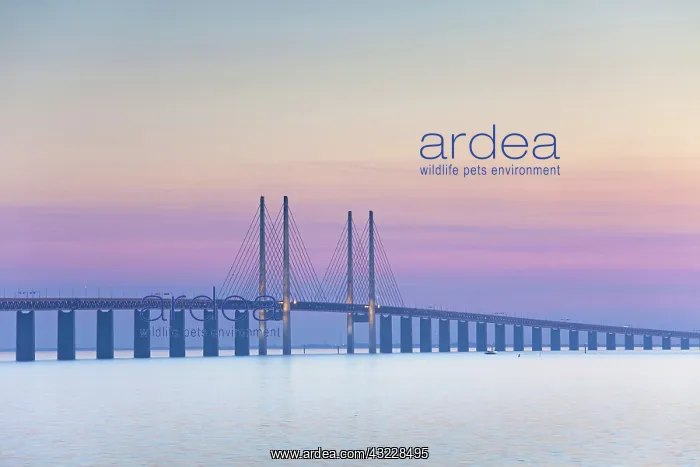 : Oeresund railway and dual carriageway bridge-tunnel : Oeresund railway and dual carriageway bridge-tunnel