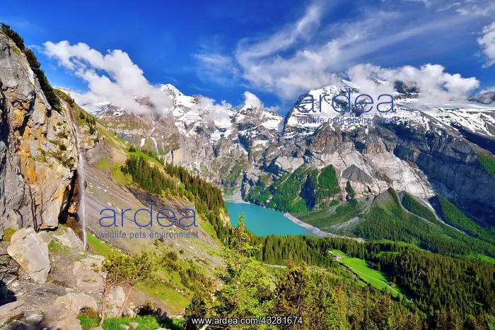 : Oeschinen Lake with Bernese Alps with Bl&, x25b6ca73;alp : Oeschinen Lake with Bernese Alps with Bl&, x25b6ca73;alp