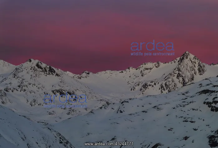 : The Oetztal Alps during winter with ice : The Oetztal Alps during winter with ice