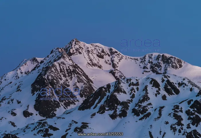 : The Oetztal Alps during winter with ice : The Oetztal Alps during winter with ice