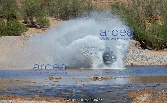 : Off-road vehicle crosses a river in the Middle Atlas : Off-road vehicle crosses a river in the Middle Atlas