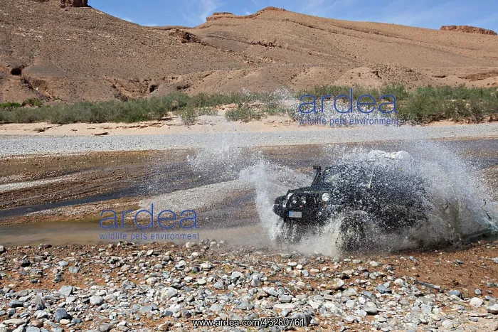 : Off-road vehicle crosses a river in the Middle Atlas : Off-road vehicle crosses a river in the Middle Atlas