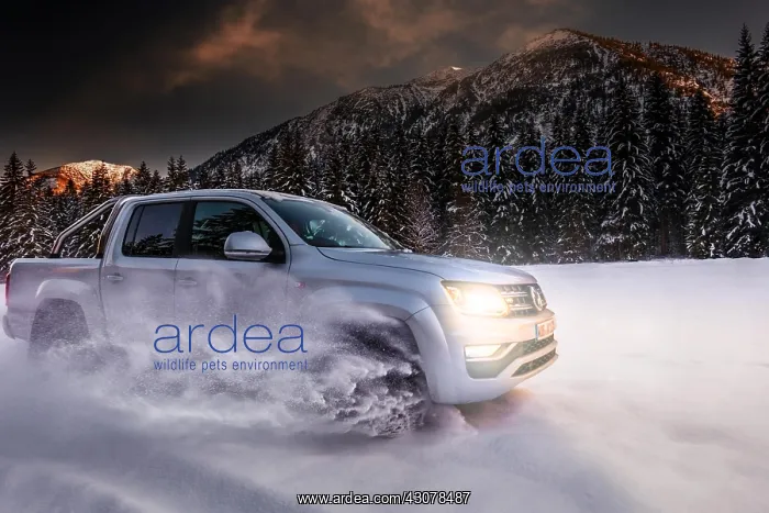 : Off-road vehicle drives through snow at dusk, Ammer : Off-road vehicle drives through snow at dusk, Ammer