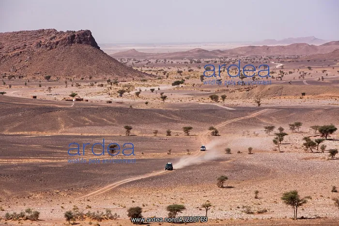 : Off-road vehicle on gravel road to the high Atlas : Off-road vehicle on gravel road to the high Atlas