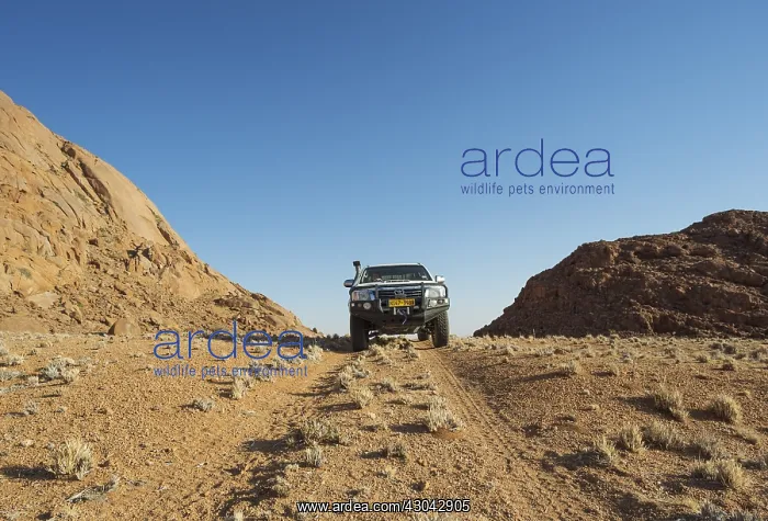 : Off-road vehicle in the Tirasberge at the edge of : Off-road vehicle in the Tirasberge at the edge of