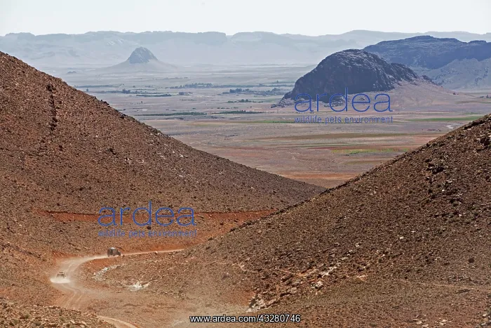 : Off-road vehicle on the way to the Jbel Ban mountains : Off-road vehicle on the way to the Jbel Ban mountains