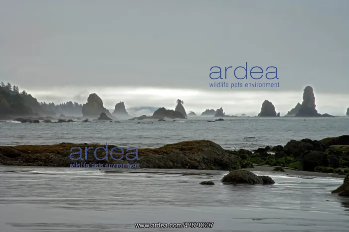 : Offshore Sea Stacks : Offshore Sea Stacks