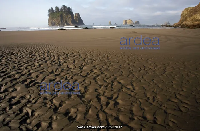 : Offshore Sea Stacks and Sandy Beach at Low Tide : Offshore Sea Stacks and Sandy Beach at Low Tide