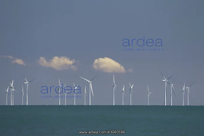  : Offshorepark Roedsand wind turbines