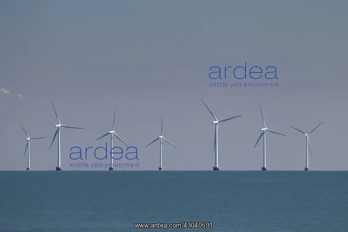  : Offshorepark Roedsand wind turbines