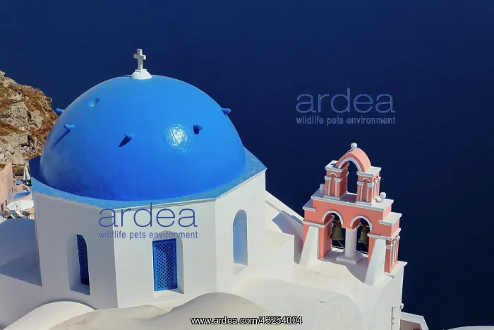 : Oia, Santorini, Greece : Oia, Santorini, Greece