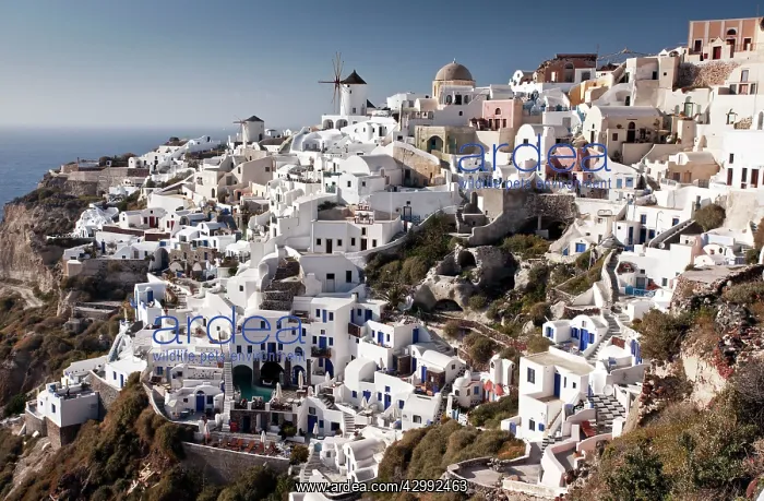 : Oia village : Oia village